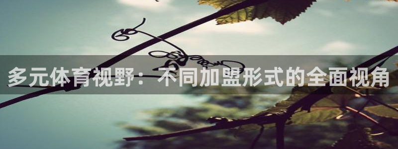 利记官网下载平台假的吗是真的吗吗:多元体育视野:不同加盟形式