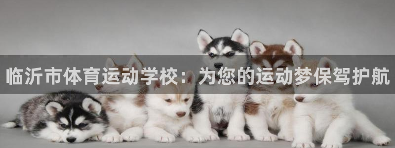 利记官网下载注册:临沂市体育运动学校:为您的运动梦保驾护航