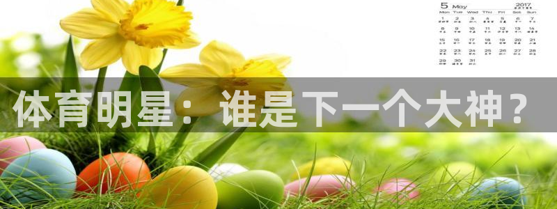 利记官方正版app开户:体育明星:谁是下一个大神?