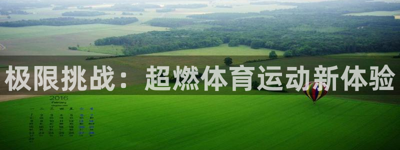 利记官方正版app新能源:极限挑战:超燃体育运动新体验